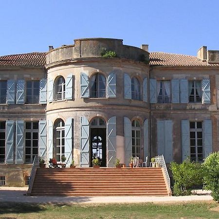 Chateau De Clermont-Saves Bed and Breakfast LʼIsle-Jourdain Εξωτερικό φωτογραφία