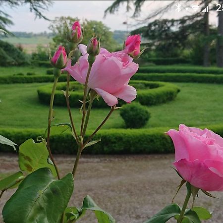Chateau De Clermont-Saves Bed and Breakfast LʼIsle-Jourdain Εξωτερικό φωτογραφία