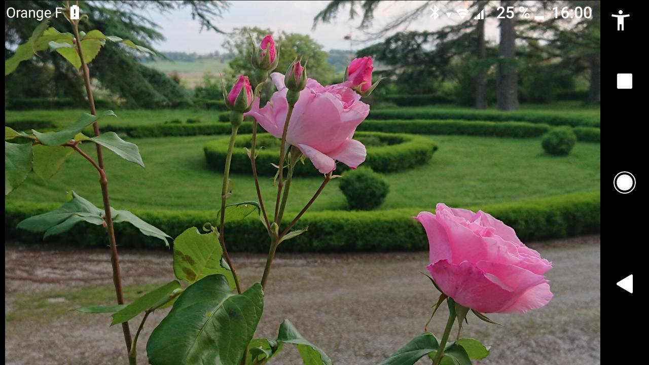 Chateau De Clermont-Saves Bed and Breakfast LʼIsle-Jourdain Εξωτερικό φωτογραφία